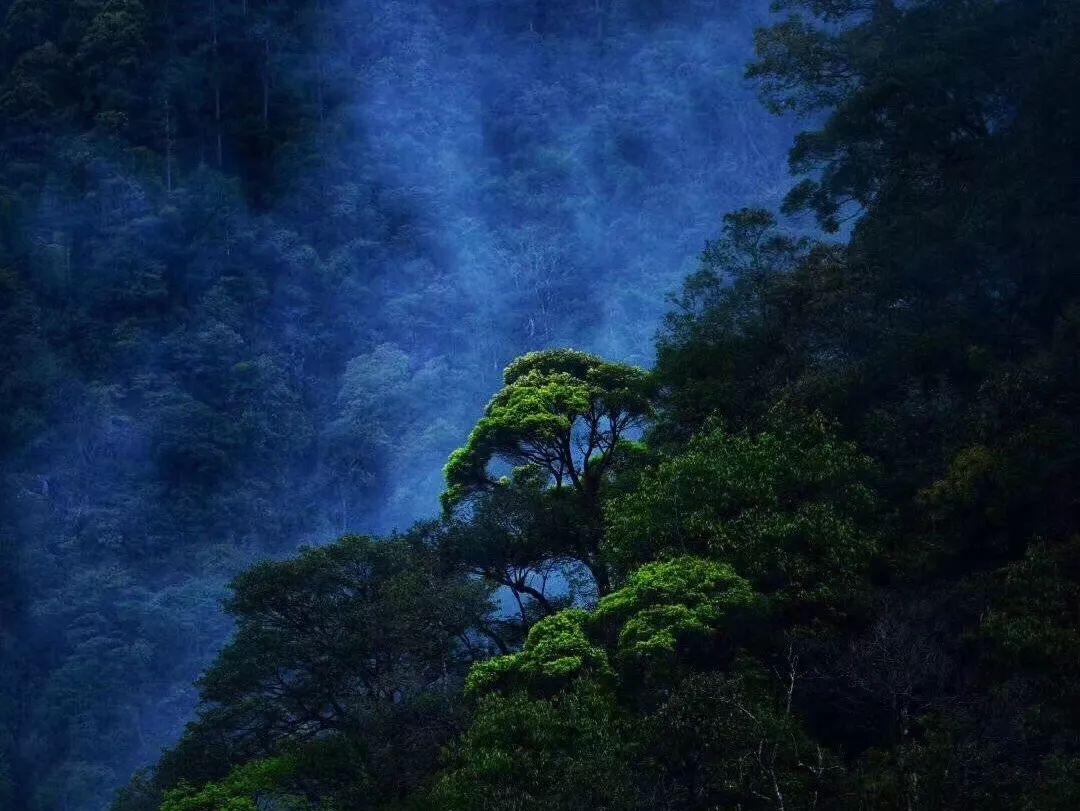 天命奇御