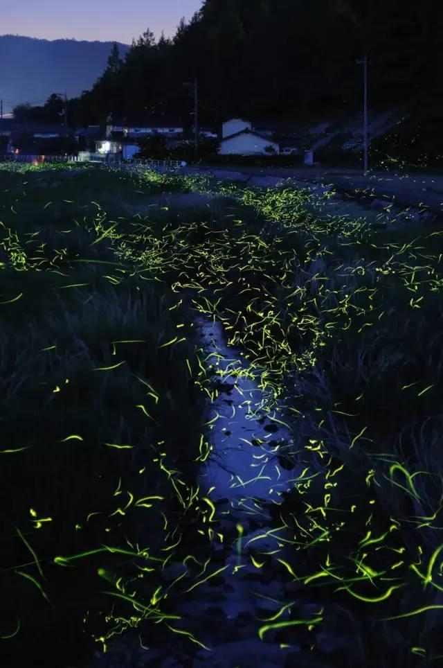 救援飞行员